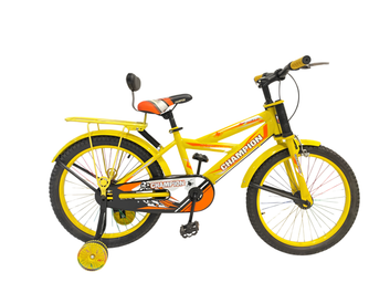 Champion Kids Bicycle 20" with Training Wheels, Front Suspension, Backrest & Rear Carrier