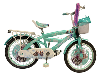 Frozen Princess Kids Bicycle 20" with Front Basket, Rear Carrier & Bell For 8 TO 10 Years Old Kids